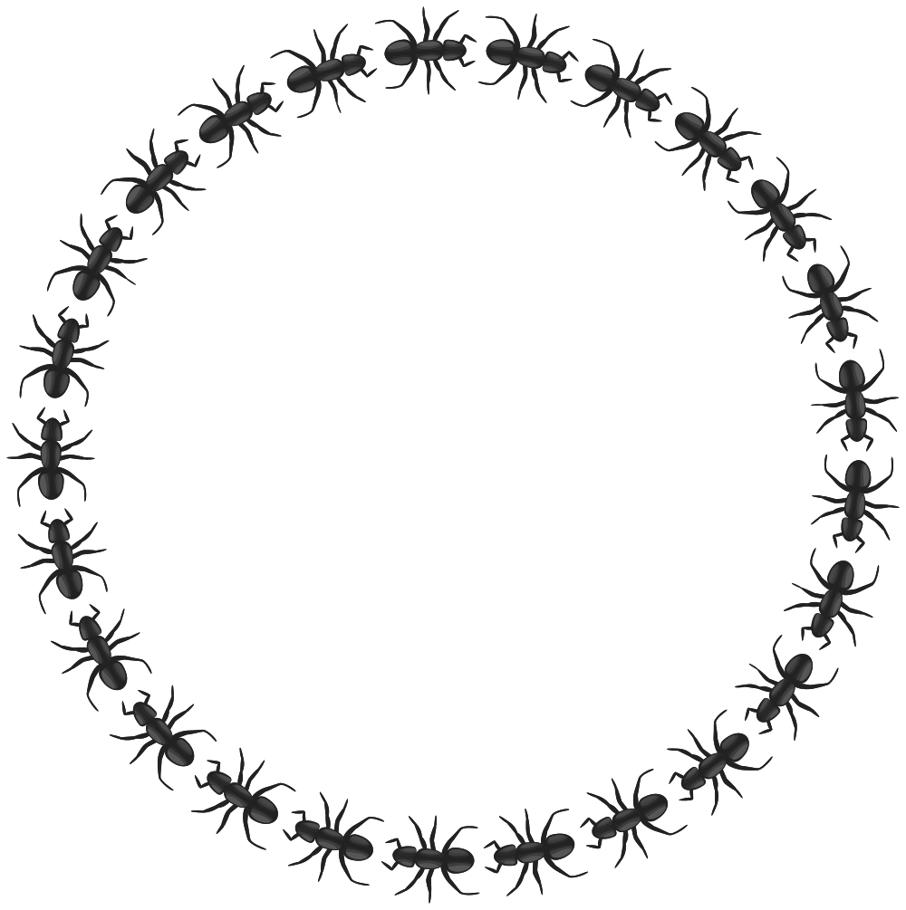 OnlineLabels Clip Art Ant Border Circle